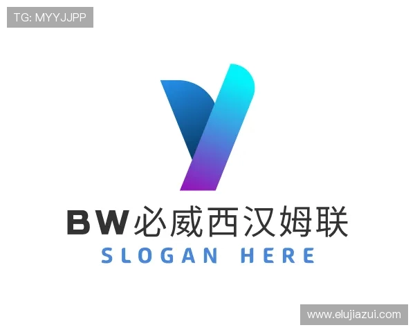 关于bw必威西汉姆联